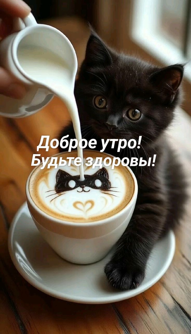 Доброе утро! Будьте здоровы!