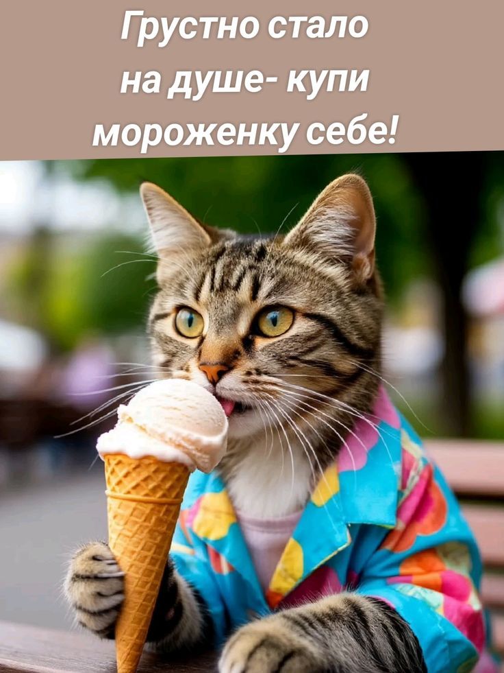Грустно стало на душе- купи мороженку себе!