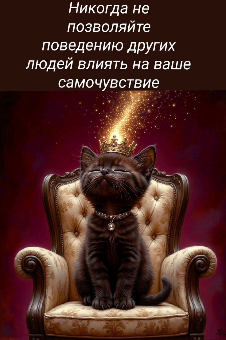 Никогда не позволяйте поведению других людей влиять на ваше самоощущение