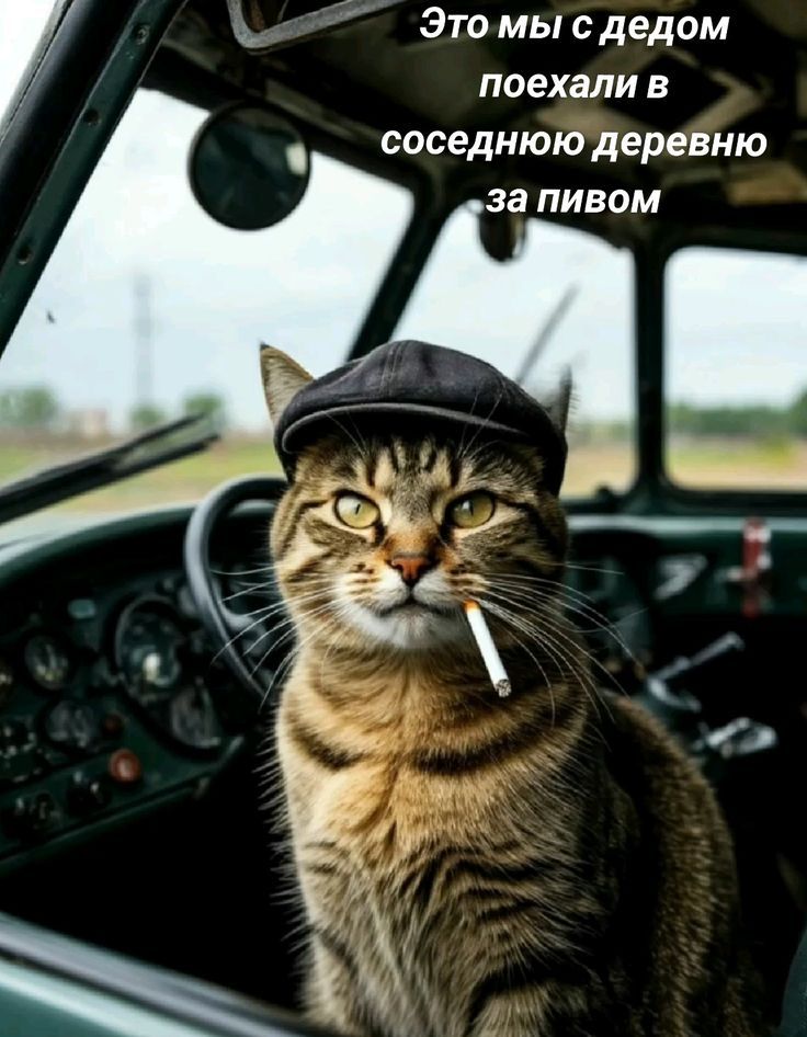 Это мы с дедом поехали в соседнюю деревню за пивом