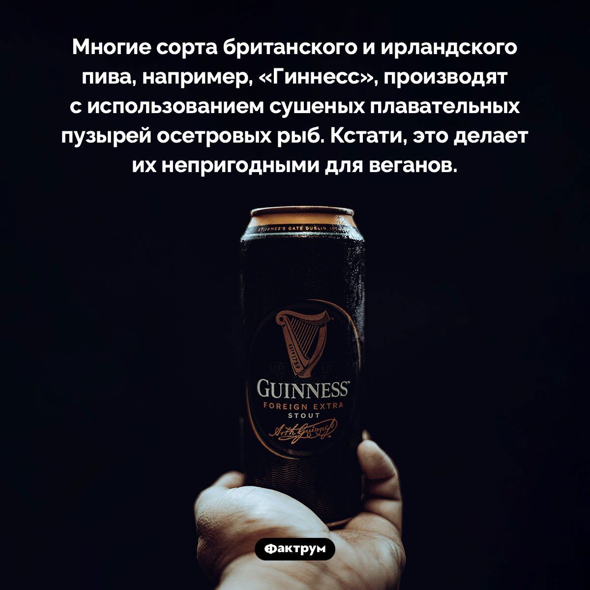Многие сорта британского и ирландского пива, например, «Гиннесс», производят с использованием сушеных плавательных пузырей острых рыб. Кстати, это делает их непригодными для веганов.