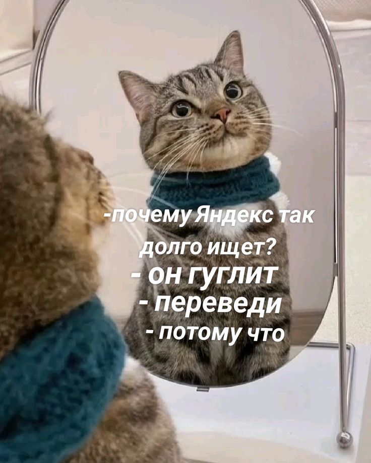 -почему Яндекс так долго ищет? -ОН ГУГЛИТ -переведи -потому что
