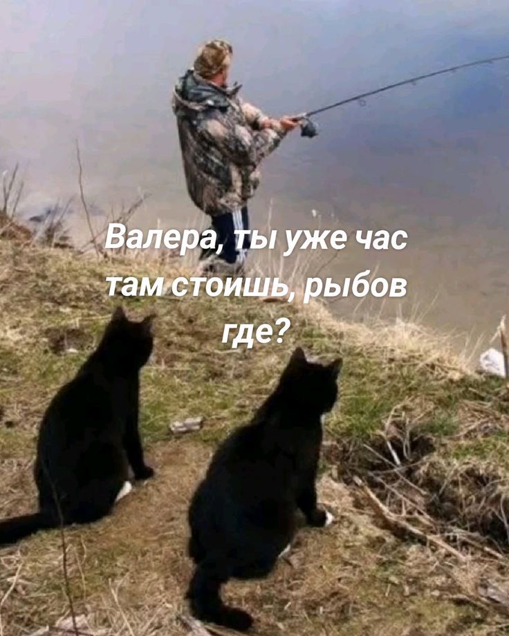Валера, ты уже час там стоишь, рыбов где?