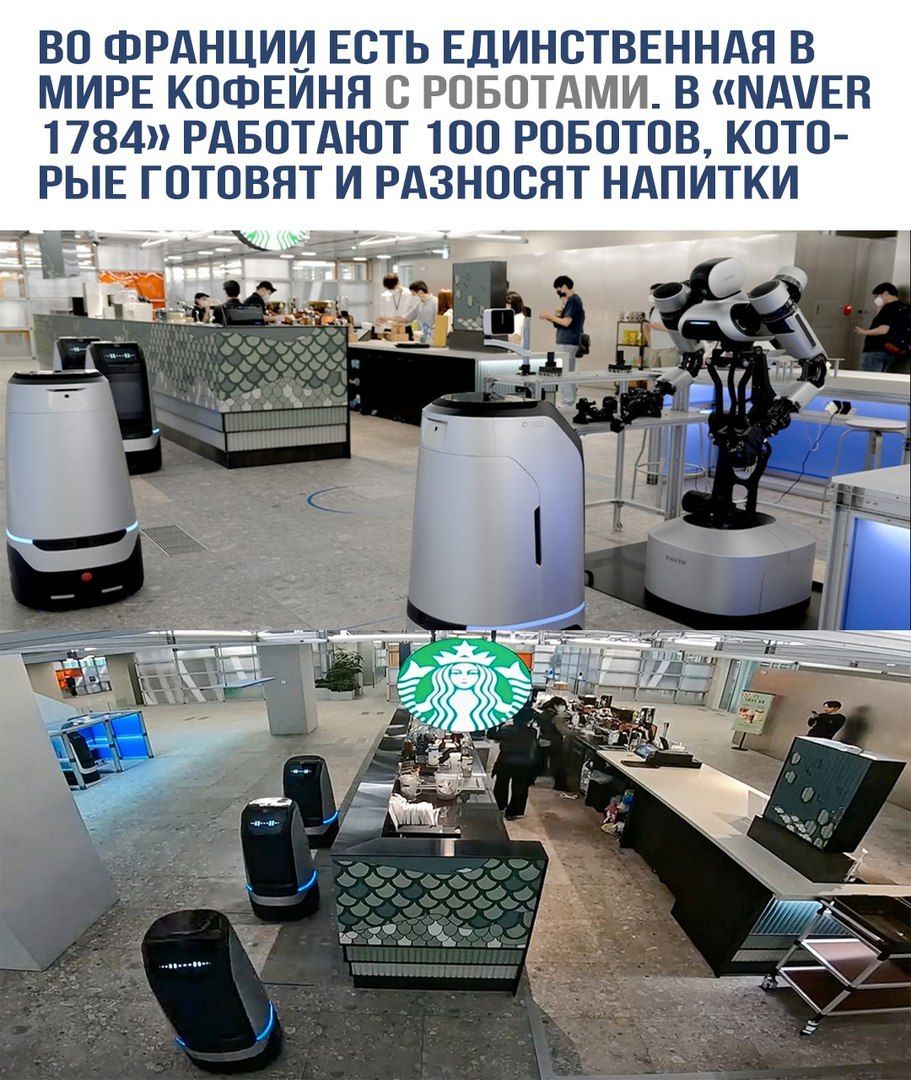 ВО ФРАНЦИИ ЕСТЬ ЕДИНСТВЕННАЯ В МИРЕ КОФЕЙНЯ С РОБОТАМИ. В «NAVER 1784» РАБОТАЮТ 100 РОБОТОВ, КОТОРЫЕ ГОТОВЯТ И РАЗНОСЯТ НАПИТКИ