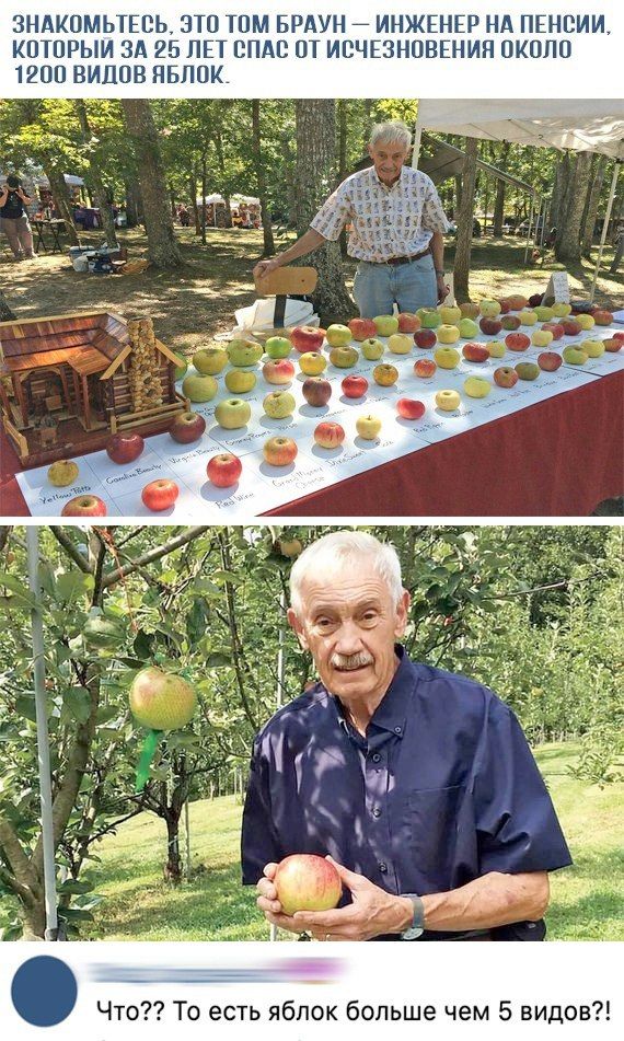 Знакомьтесь, это Том Браун — инженер на пенсии, который за 25 лет спас от исчезновения около 1200 видов яблок.
Что?? То есть яблок больше чем 5 видов?!