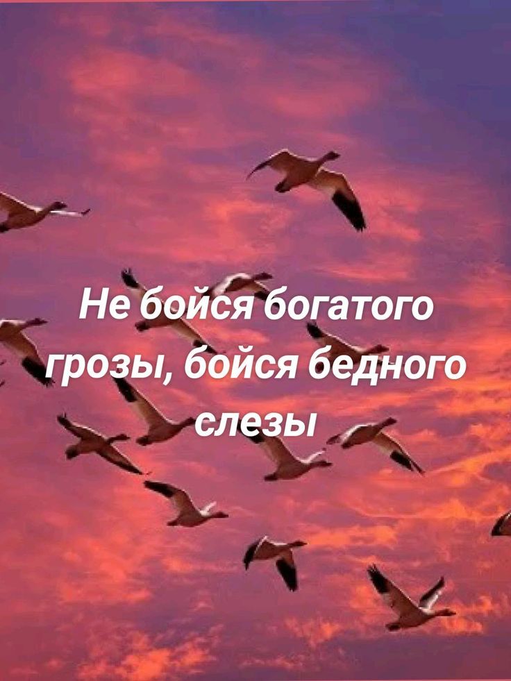 Не бойся богатого грозы, бойся бедного слезы