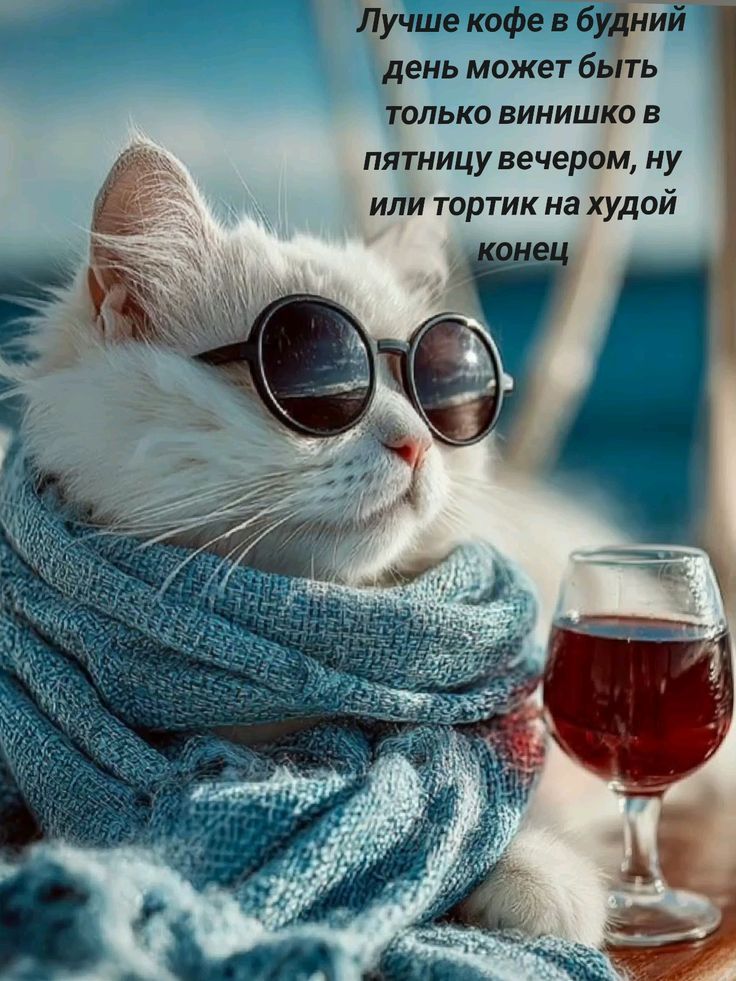 Лучше кофе в будний день может быть только винишко в пятницу вечером, ну или тортик на худой конец