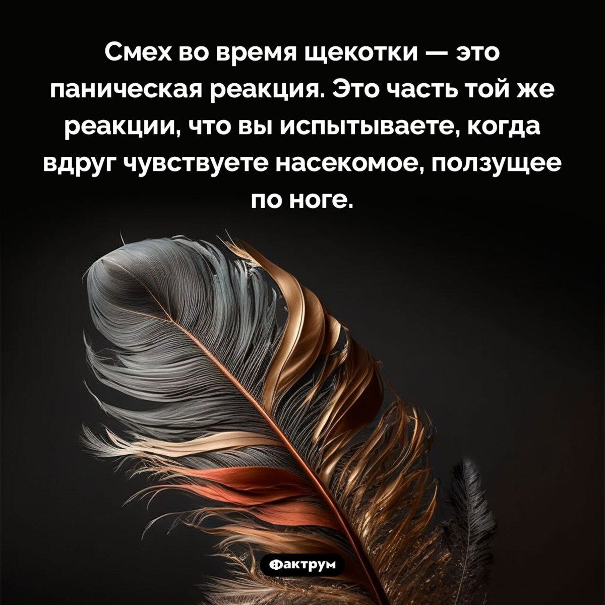 Смех во время щекотки — это паническая реакция. Это часть той же реакции, что вы испытываете, когда вдруг чувствуете насекомое, ползущие по ноге.