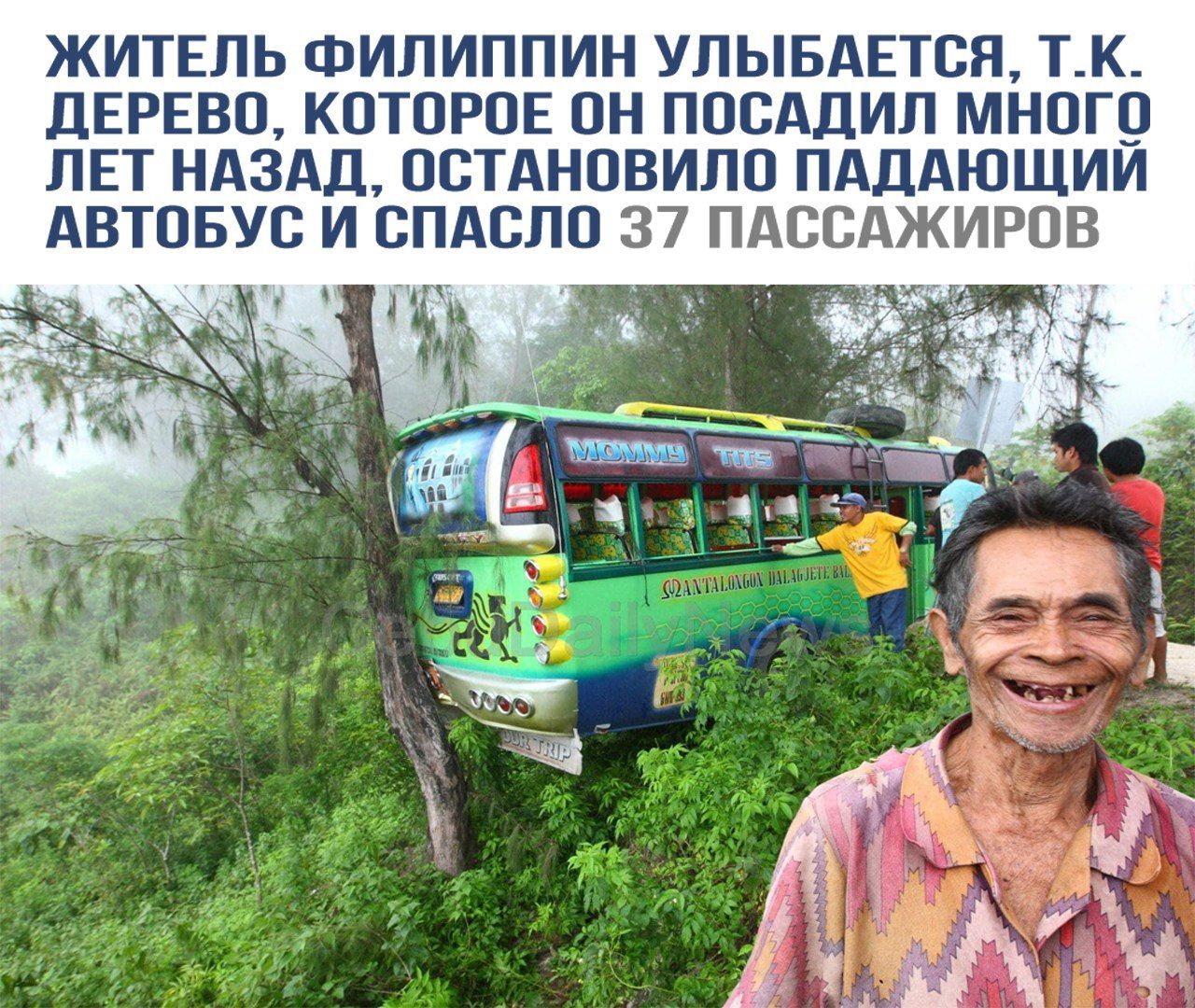 ЖИТЕЛЬ ФИЛИППИН УЛЫБАЕТСЯ, Т.К. ДЕРЕВО, КОТОРОЕ ОН ПОСАДИЛ МНОГО ЛЕТ НАЗАД, ОСТАНОВИЛО ПАДАЮЩИЙ АВТОБУС И СПАСТИЛО 37 ПАССАЖИРОВ