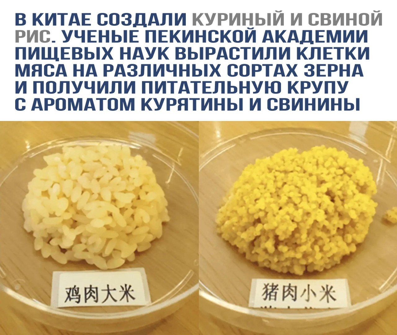 В Китае создали куриный и свиной рис. Учёные Пекинской академии пищевых наук вырастили клетки мяса на различных сортах зерна и получили питательную крупу с ароматом курятины и свинины.