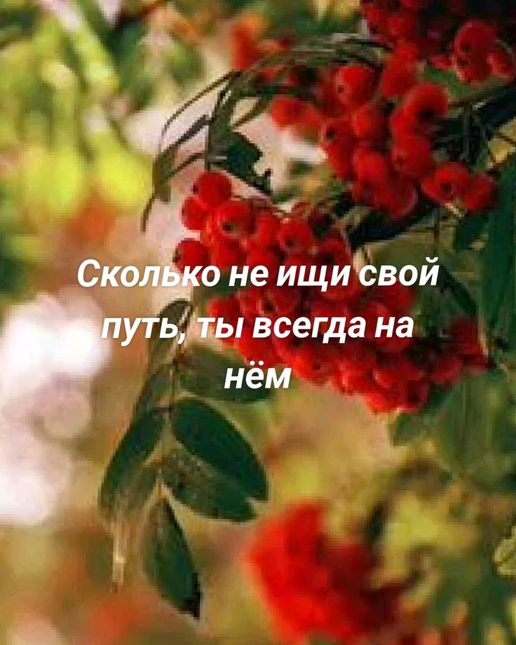 Сколько не ищи свой путь, ты всегда на нём