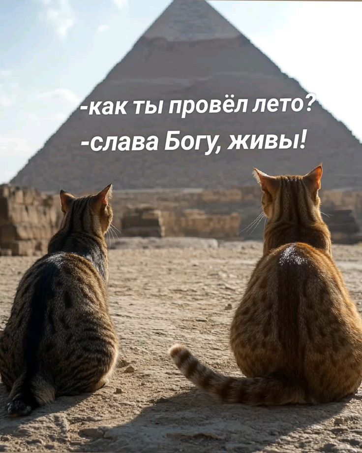 -как ты провёл лето? -слава Богу, живы!