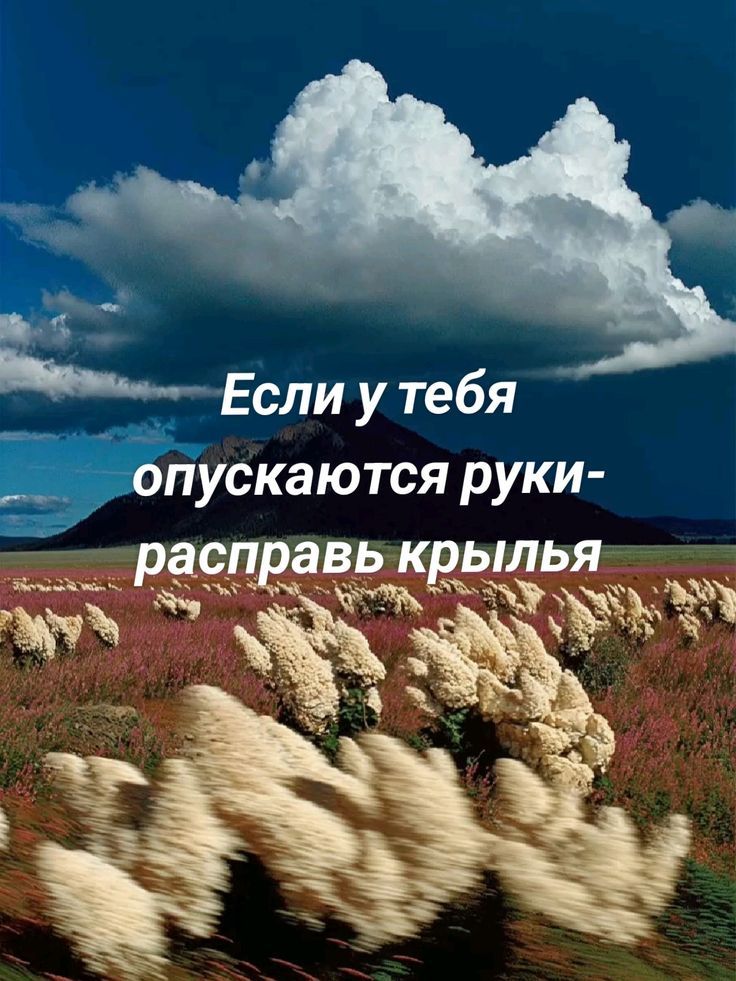 Если у тебя опускаются руки - расправь крылья