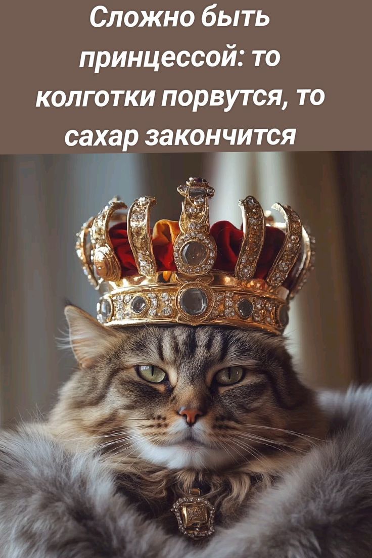 Сложно быть принцессой: то колготки порвутся, то сахар закончится