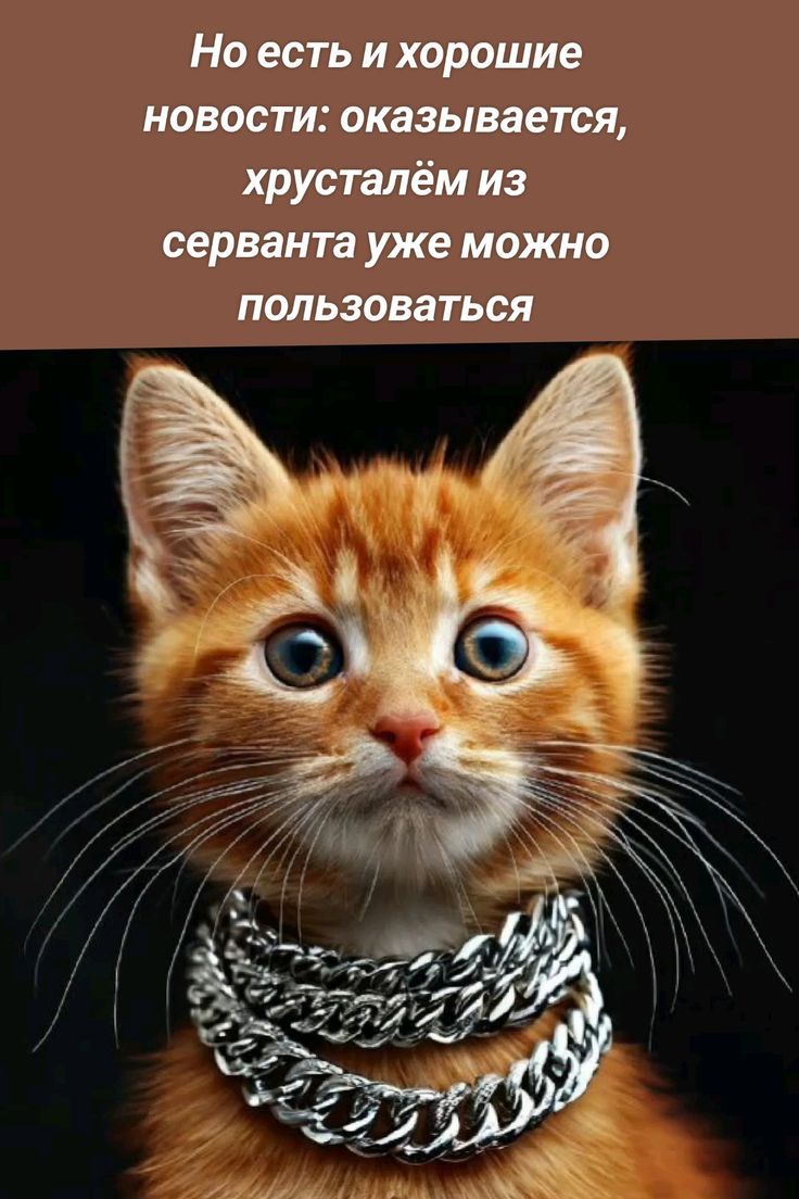 Но есть и хорошие новости: оказывается, хрустальём из серванта уже можно пользоваться