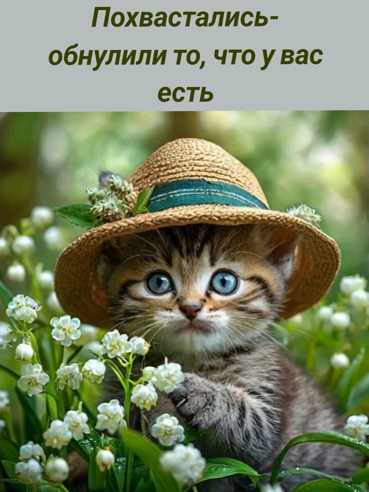 Похвастались-обнулили то, что у вас есть