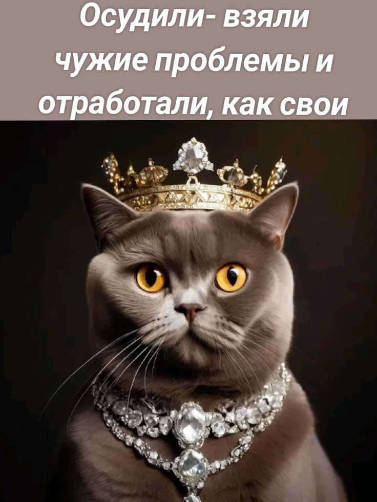 Осудили- взяли чужие проблемы и отработали, как свои