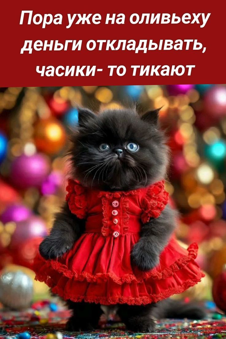 Пора уже на оливьеху деньги откладывать, часики- то тикают
