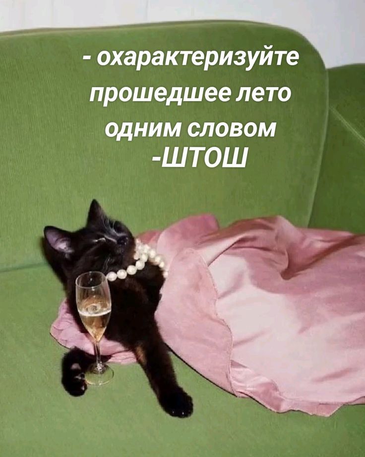 - охарактеризуйте прошедшее лето одним словом -ШТОШ