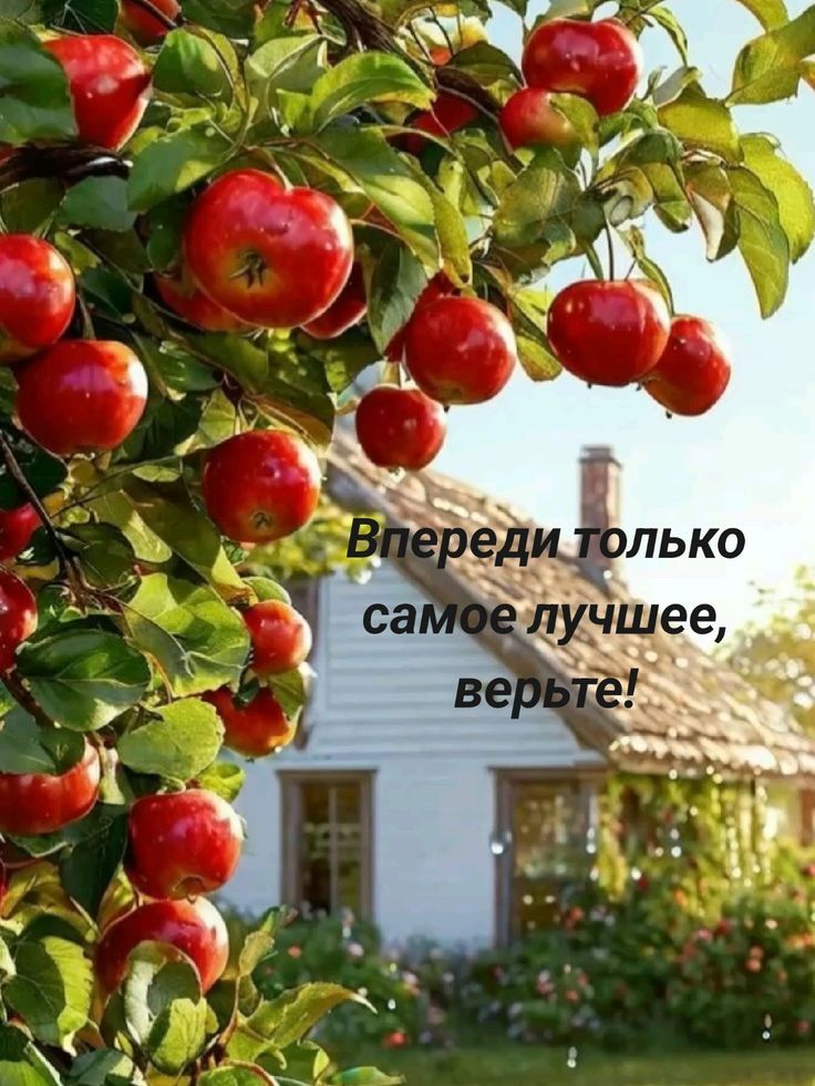 Впереди только самое лучшее, верьте!