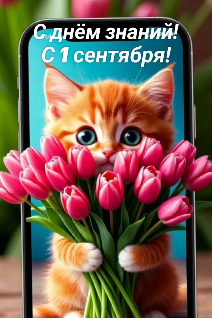 С днём знаний! С 1 сентября!