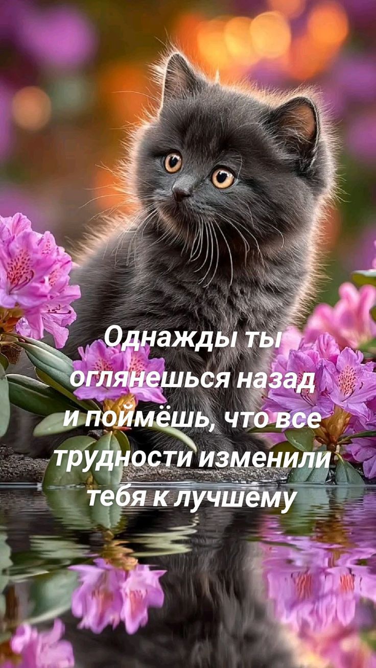 Однажды ты оглянешься назад и поймёшь, что все трудности изменили тебя к лучшему