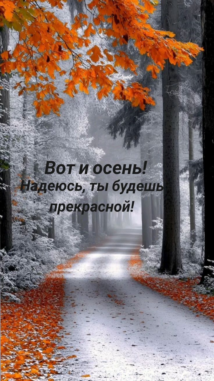 Вот и осень! Надеюсь, ты будешь прекрасной!