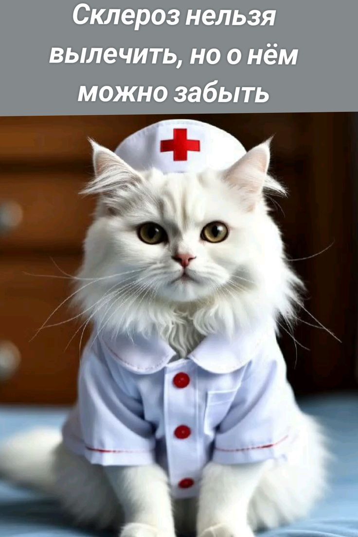Склероз нельзя вылечить, но о нём можно забыть