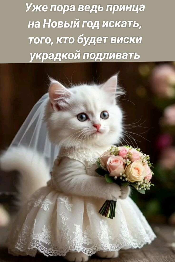 Уже пора веди принца на Новый год искать, того, кто будет виски украдкой подливать