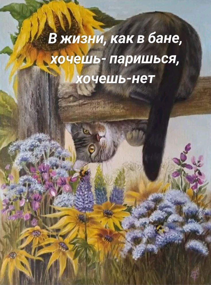 В жизни, как в бане, хочешь- паришься, хочешь-нет