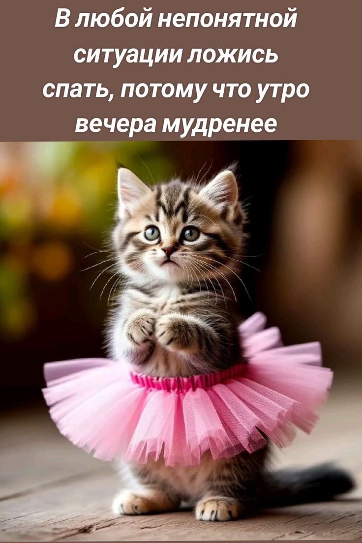 В любой непонятной ситуации ложись спать, потому что утро вечера мудренее