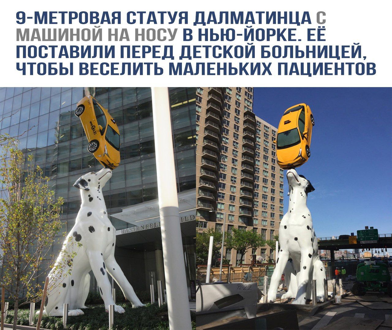 9-метровая статуя далматинца с машиной на носу в Нью-Йорке. Её поставили перед детской больницей, чтобы веселить маленьких пациентов.