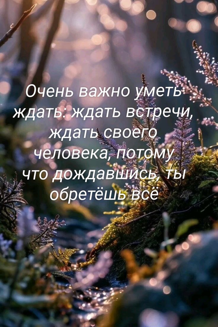 Очень важно уметь ждать: ждать встречи, ждать своего человека, потому что дождившись, ты обретёшь всё