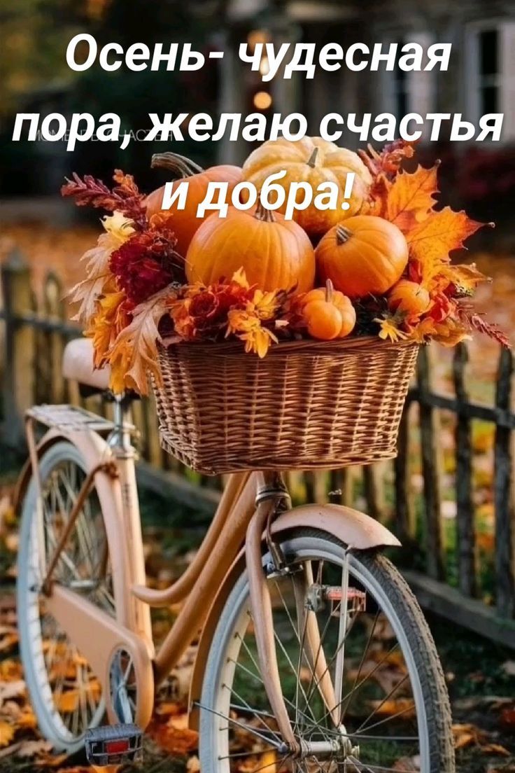 Осень- чудесная пора, желаю счастья и добра!