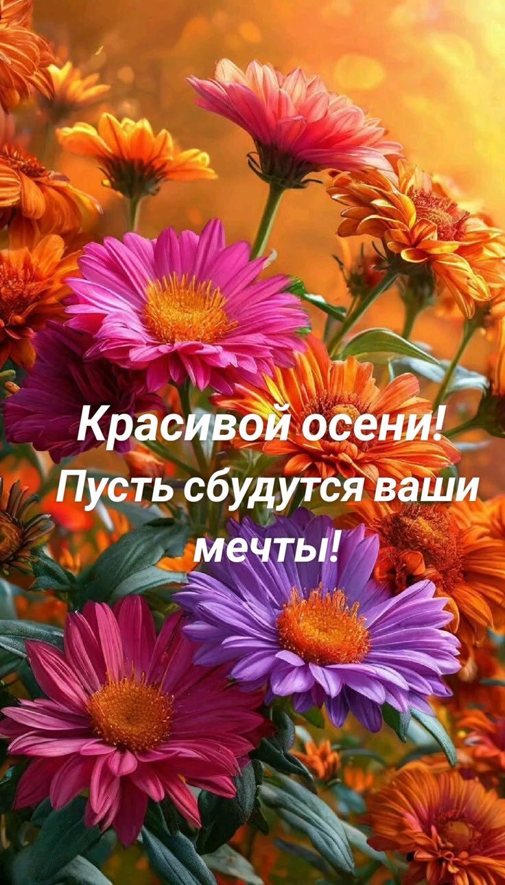 Красивой осени! Пусть сбудутся ваши мечты!