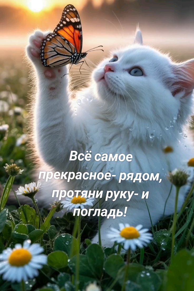 Всё самое прекрасное - рядом, протяни руку - и погладь!