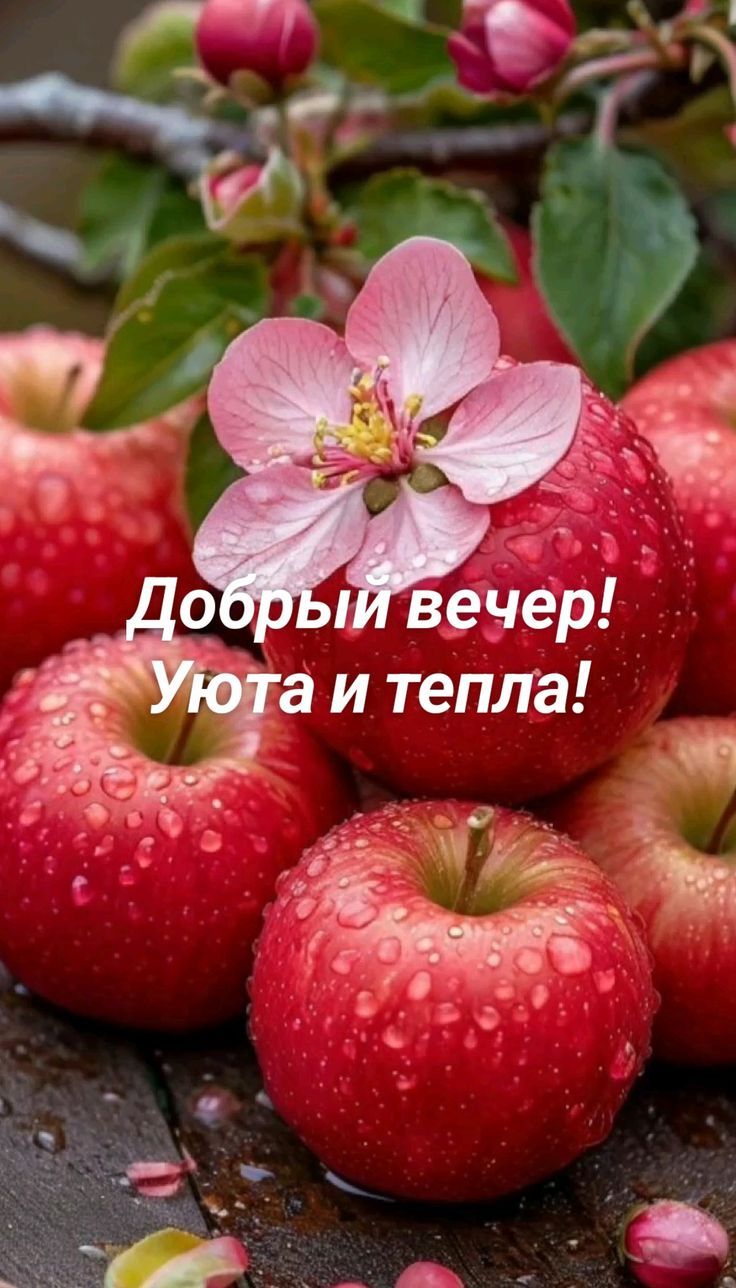 Добрый вечер! Уюта и тепла!