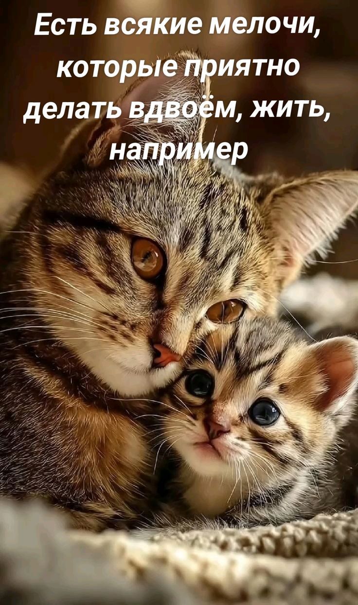 Есть всякие мелочи, которые приятно делать вдвоём, жить, например