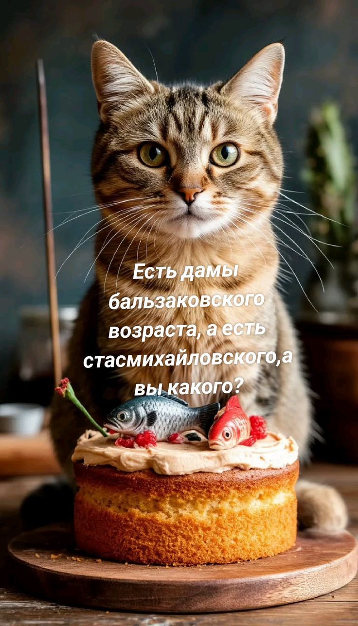 Есть дамы бальзаковского возраста, а есть стасмихайловского, а вы какого?
