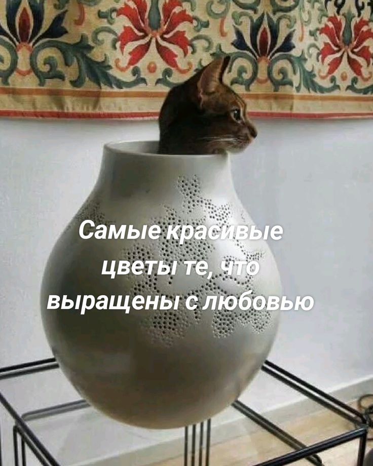 Самые красивые цвета те, что выращены с любовью