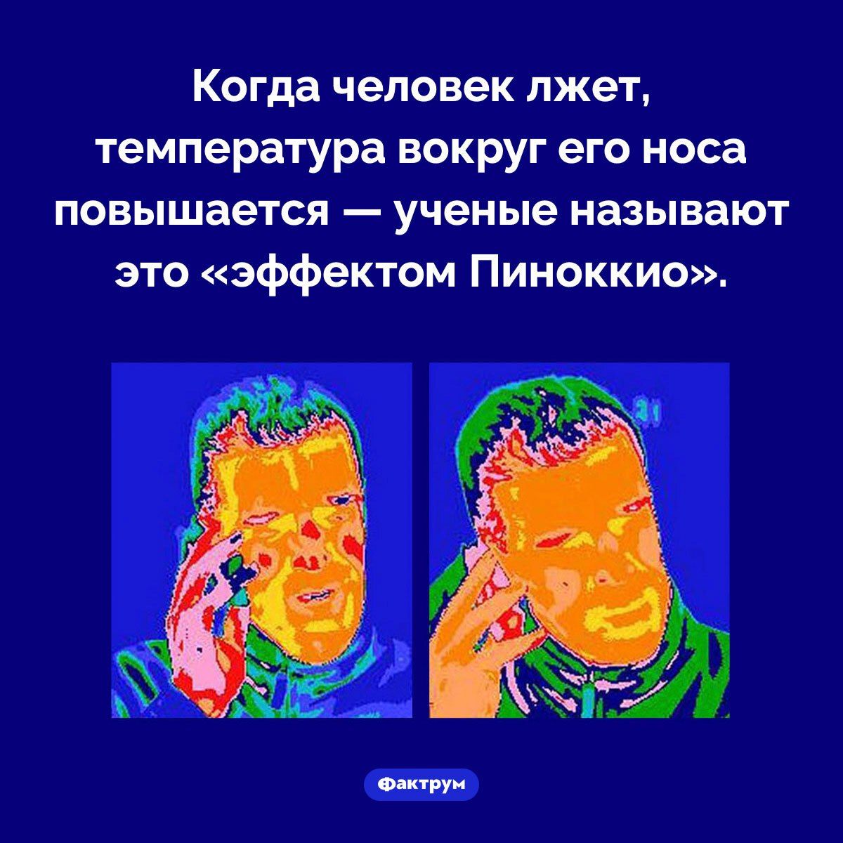 Когда человек лжет, температура вокруг его носа повышается — ученые называют это «эффектом Пиноккио».