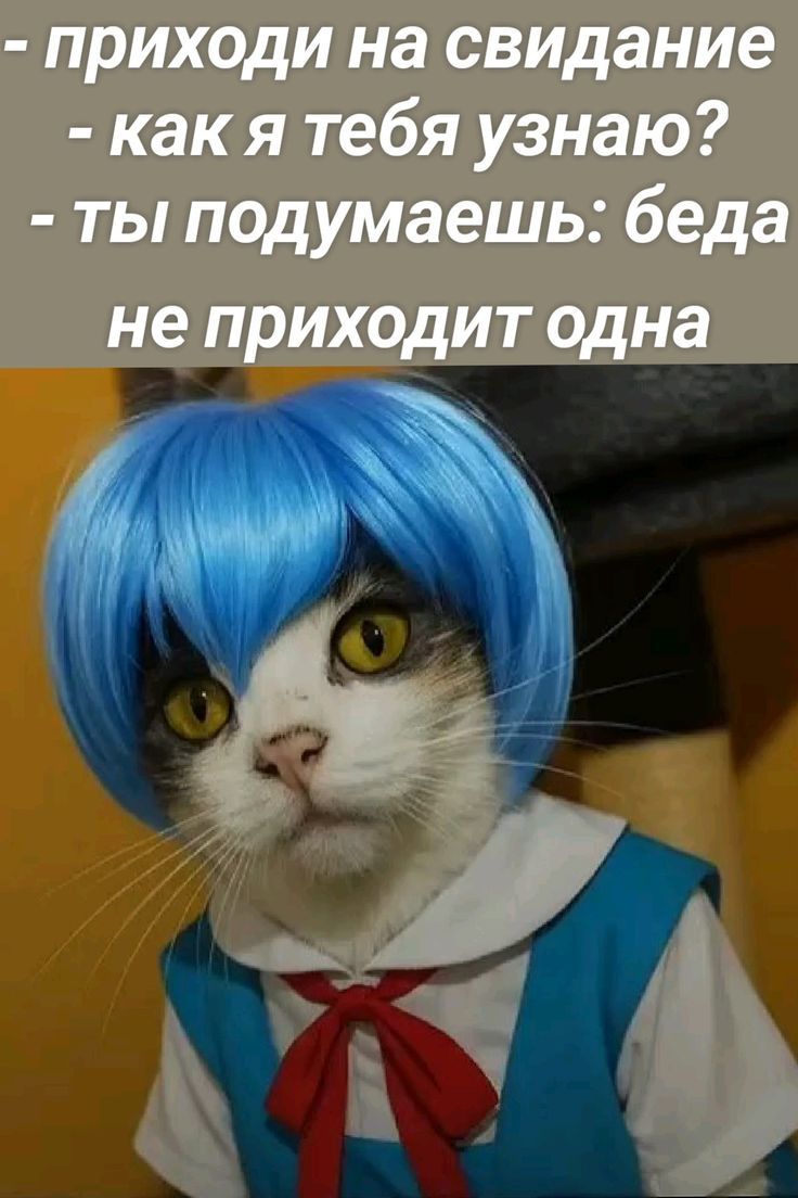 - приходи на свидание
- как я тебя узнаю?
- ты подумаешь: беда
не приходит одна