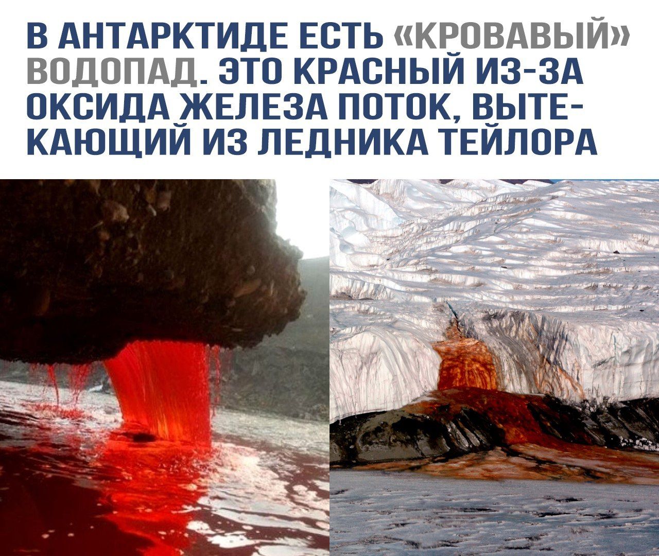 В АНТАРКТИДЕ ЕСТЬ «КРОВАВЫЙ» ВОДОПАД. ЭТО КРАСНЫЙ ИЗ-ЗА ОКСИДА ЖЕЛЕЗА ПОТОК, ВЫТЕКАЮЩИЙ ИЗ ЛЕДНИКА ТЕЙЛОРА