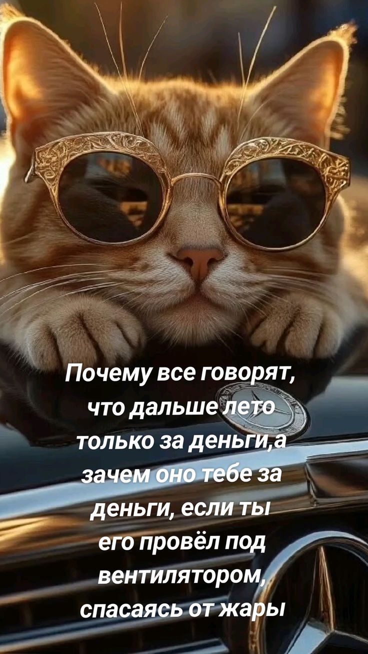 Почему все говорят, что дальше лето только за деньги, а зачем оно тебе за деньги, если ты его провёл под вентилятором, спасаясь от жары