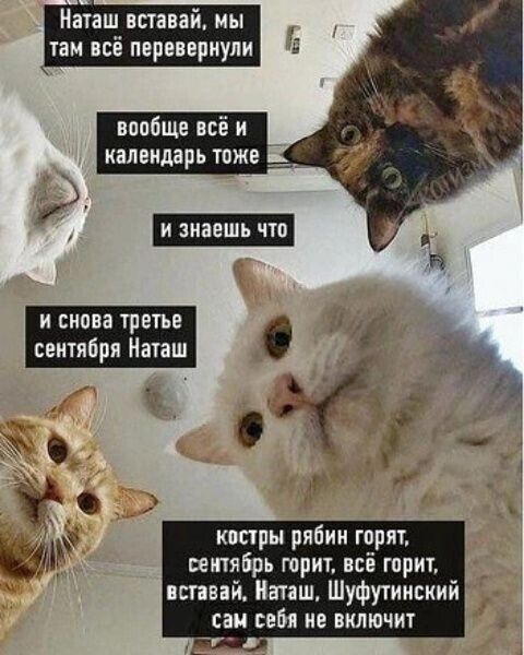 Наташ, вставай, мы там всё перевернули
вообще всё и календарь тоже
и знаешь что
и снова третье сентября Наташ
костры рябин горят, сентябрь горит, всё горит, вставай, Наташ, Шифутинский сам себя не включит