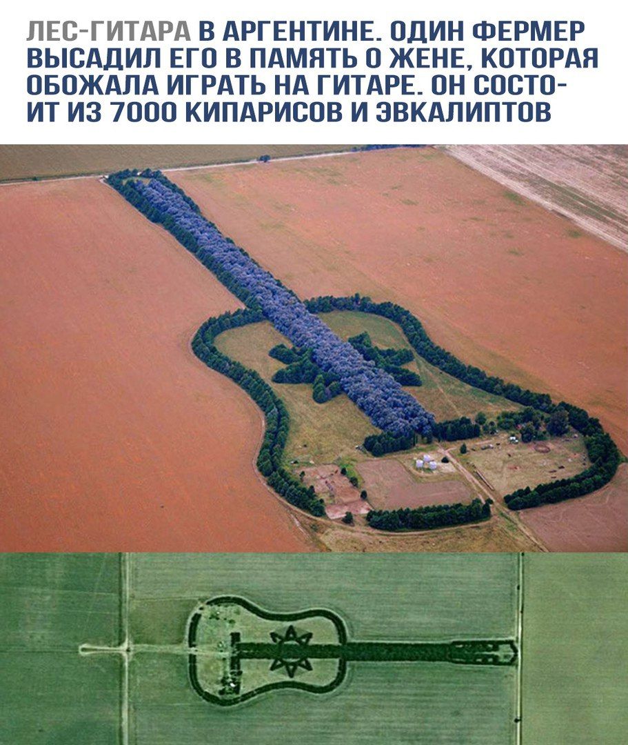 Лес-гитара в Аргентине. Один фермер высадил его в память о жене, которая обожала играть на гитаре. Он состоит из 7000 кипарисов и эвкалиптов.