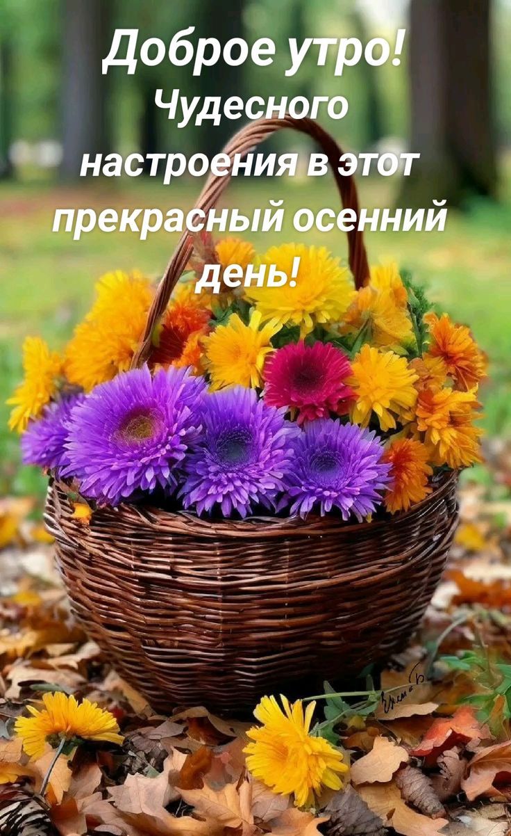 Доброе утро! Чудесного настроения в этот прекрасный осенний день!