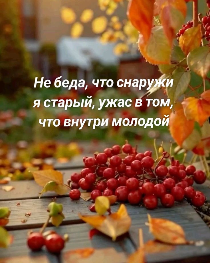 Не беда, что снаружи я старый, ужас в том, что внутри молодой