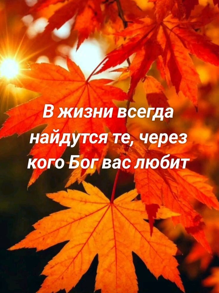 В жизни всегда найдутся те, через кого Бог вас любит