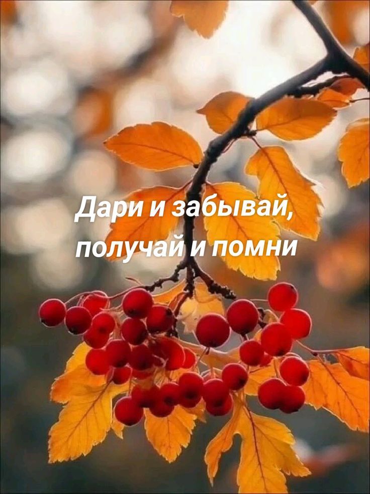 Дари и забывай, получай и помни